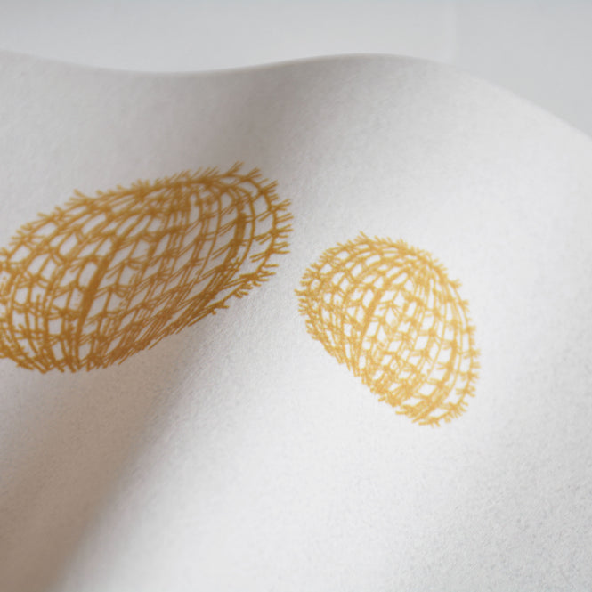 輸入壁紙 coordonne / Instant / Arizona Mustard 8500001 N