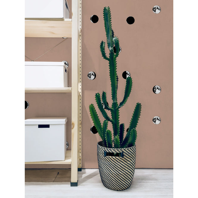 色違いの商品です