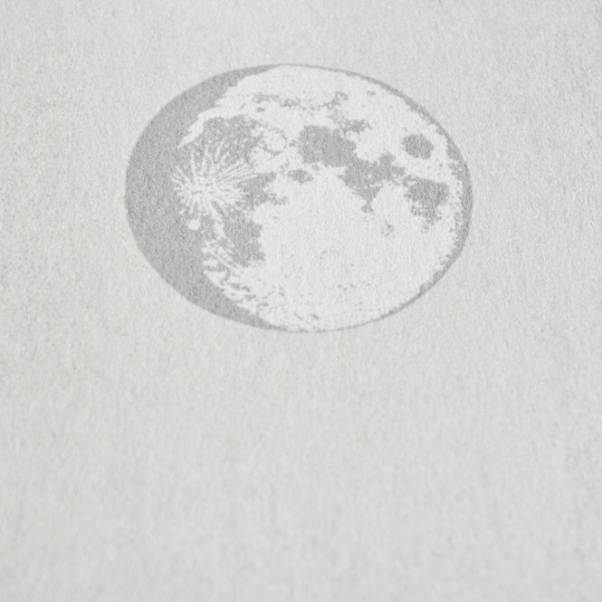 輸入壁紙 coordonne / Instant / Lunatic Grey 8500053 N