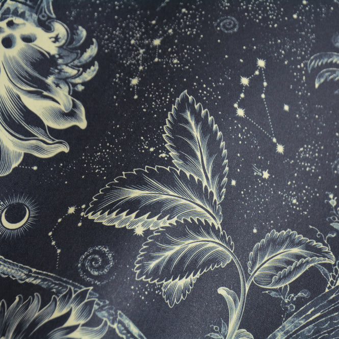 輸入壁紙 coordonne / METAMORPHOSIS / NEO-MITHOLOGY 8800027 N