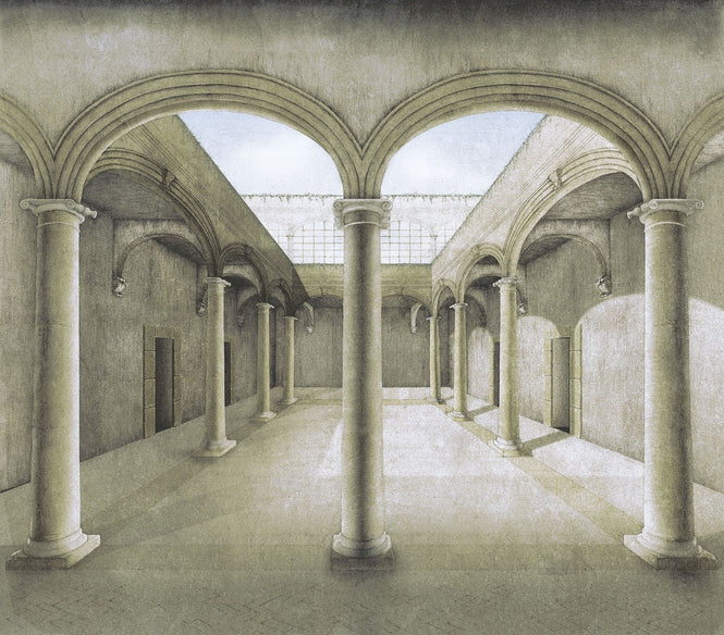 輸入壁紙 coordonne / METAMORPHOSIS / LINEALE 8800161 N