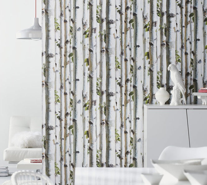 【OUTLET】KOZIEL / Bouleaux (白樺) 8888-154