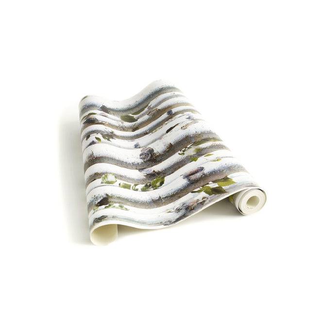 【OUTLET】KOZIEL / Bouleaux (白樺) 8888-154