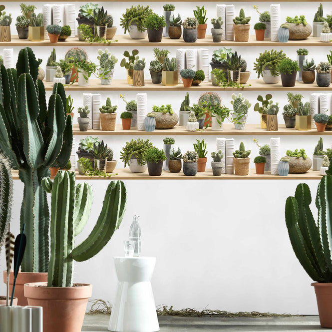 【OUTLET】KOZIEL / STYLIZED CACTUS ON SHELVES WALLPAPER 8888-402