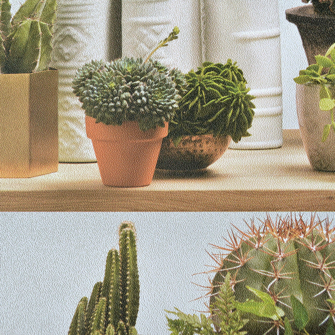 【OUTLET】KOZIEL / STYLIZED CACTUS ON SHELVES WALLPAPER 8888-402