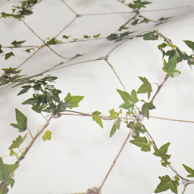 【OUTLET】KOZIEL / LIERRE SUR CORDE GRAPHIQUE (アイビー) 8888-408(ECO)