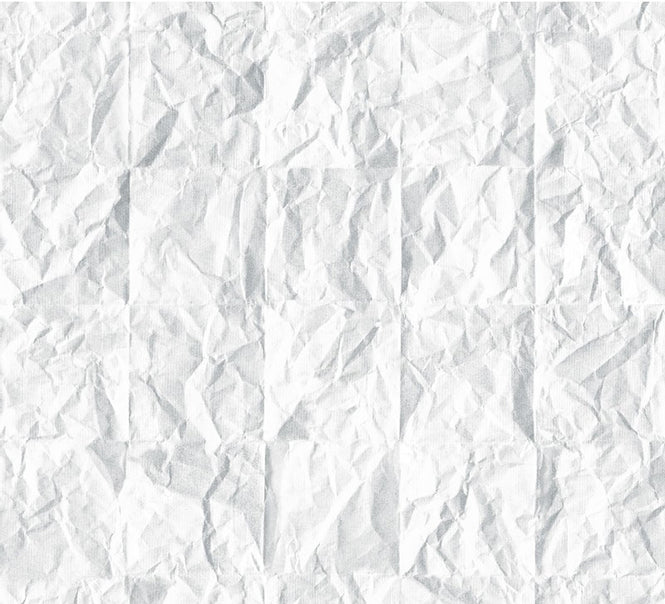 【限定数】KOZIEL / Papier 8888-71