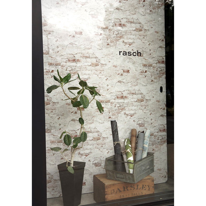 WALPA大阪店のディスプレイ