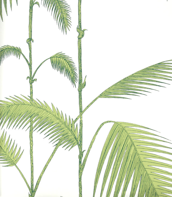 Cole&Son / CONTEMPORARY RESTYLED / Palm 95/1009