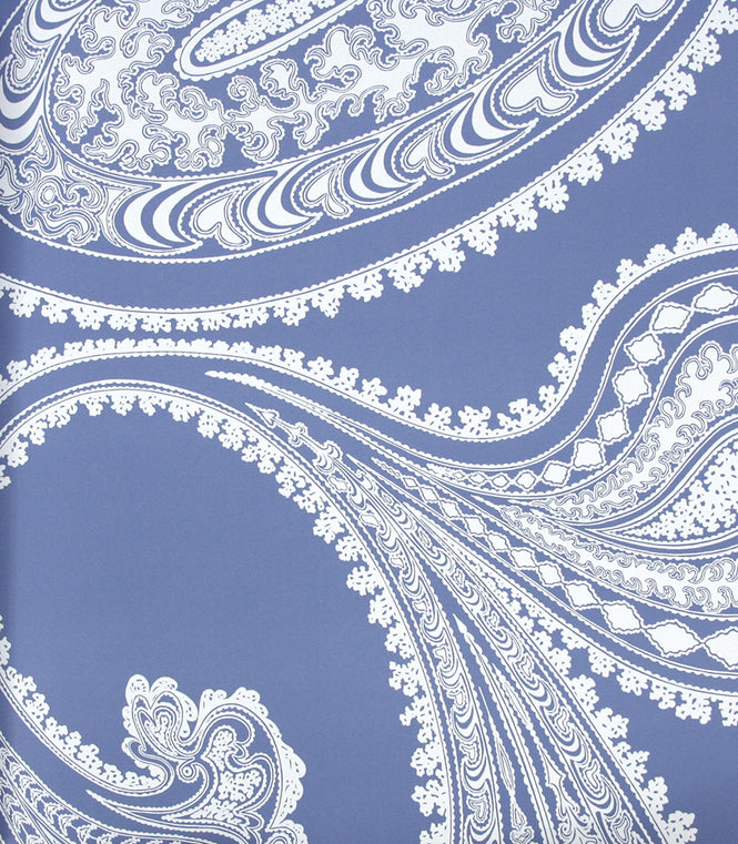 Cole&Son / CONTEMPORARY RESTYLED / Rajapur 95/2014