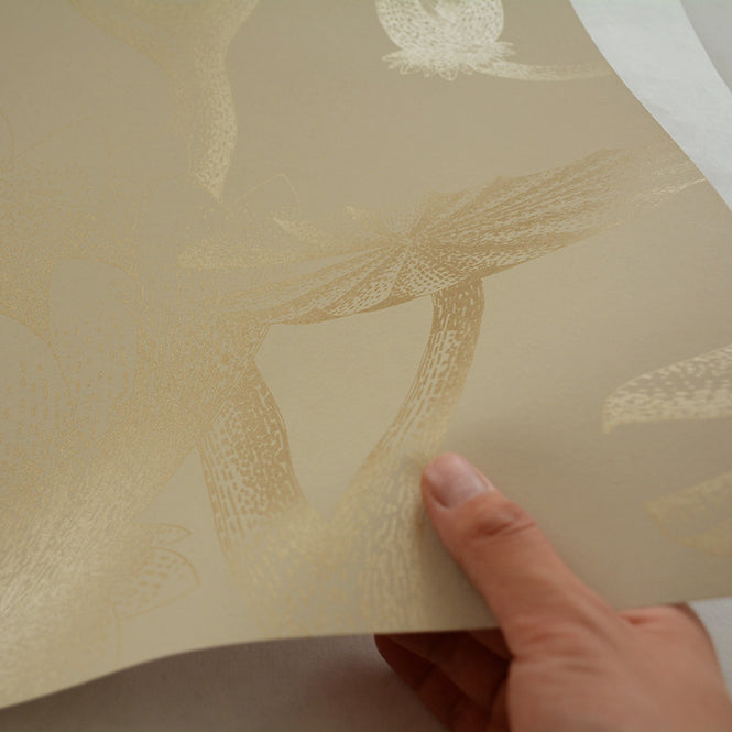 Cole&Son / CONTEMPORARY RESTYLED / Lily 95/4019