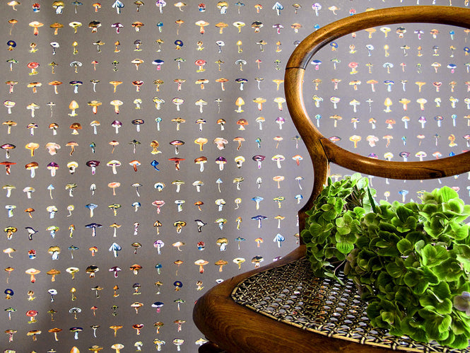 色違いの商品です