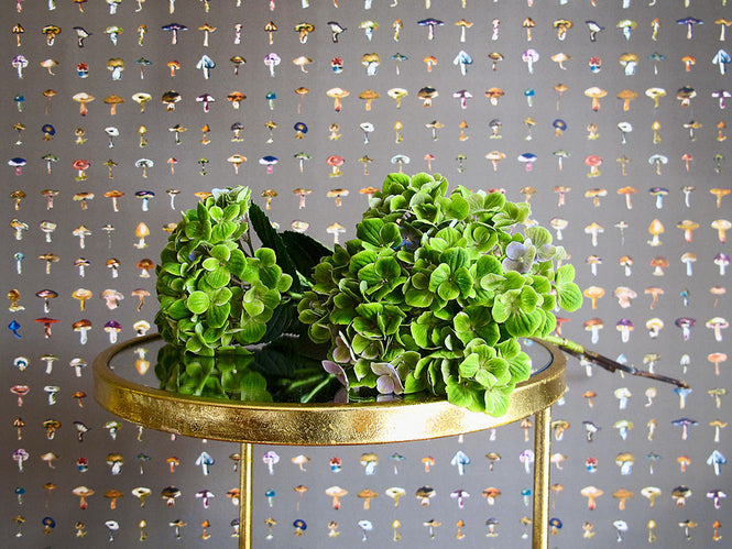 17 Patterns / Forager II - Warm-Grey M A03-FG-M04W