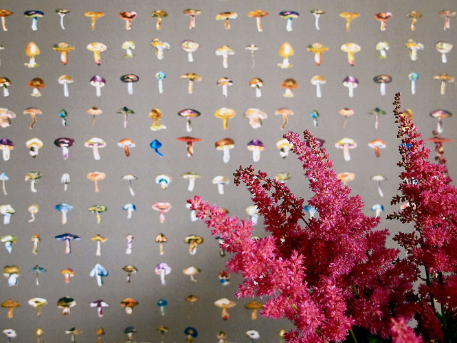 17 Patterns / Forager II - Warm-Grey M A03-FG-M04W