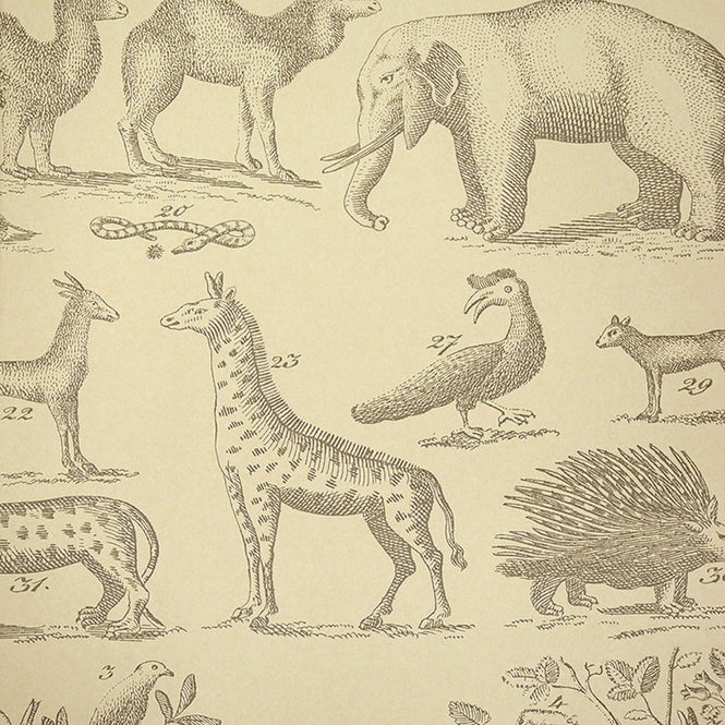 Andrew Martin / Museum / Ark Parchment