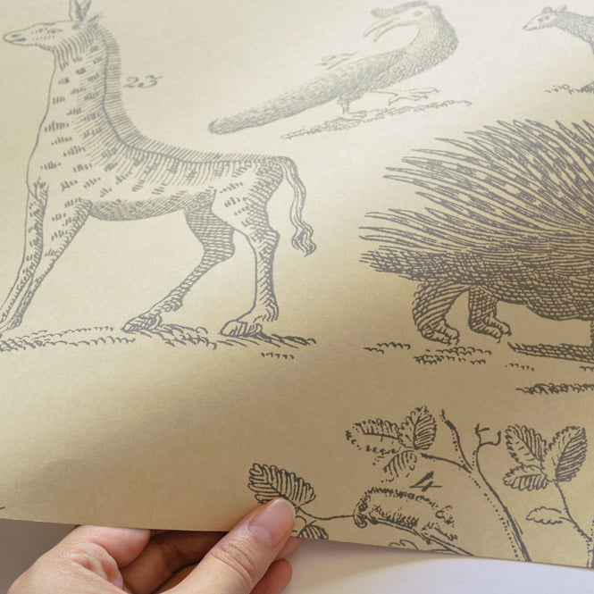 Andrew Martin / Museum / Ark Parchment