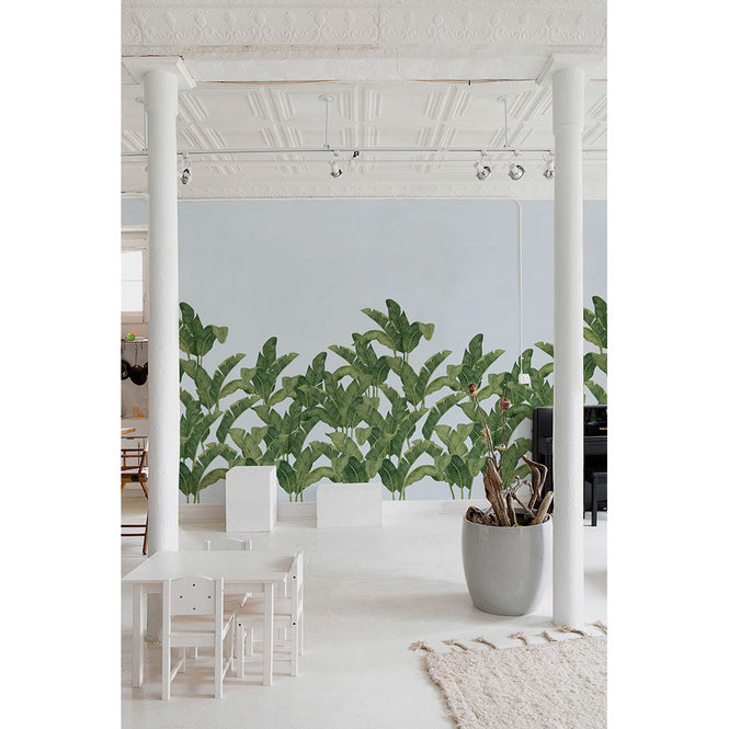 Tres Tintas / LES VANGARDES BANANELLA BA-02