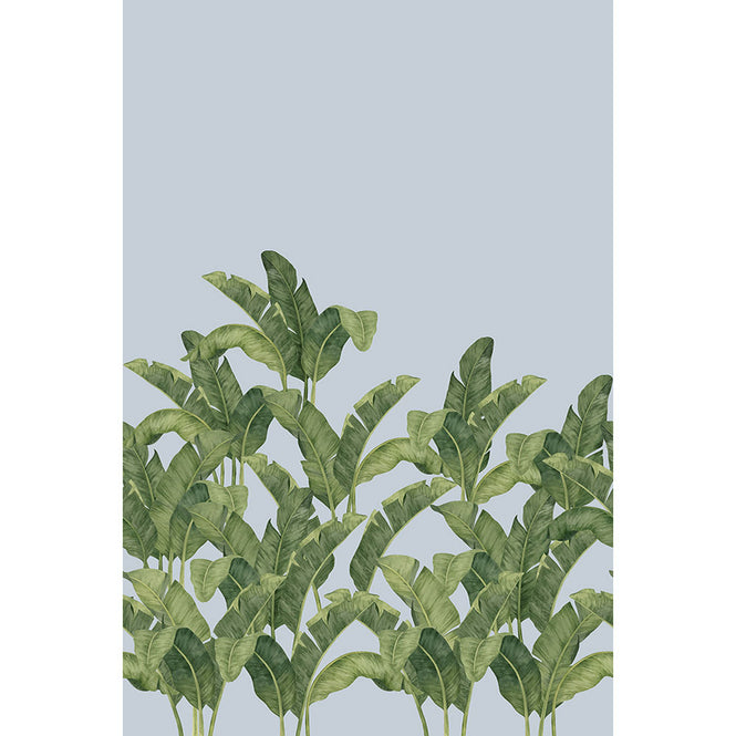 Tres Tintas / LES VANGARDES BANANELLA BA-02