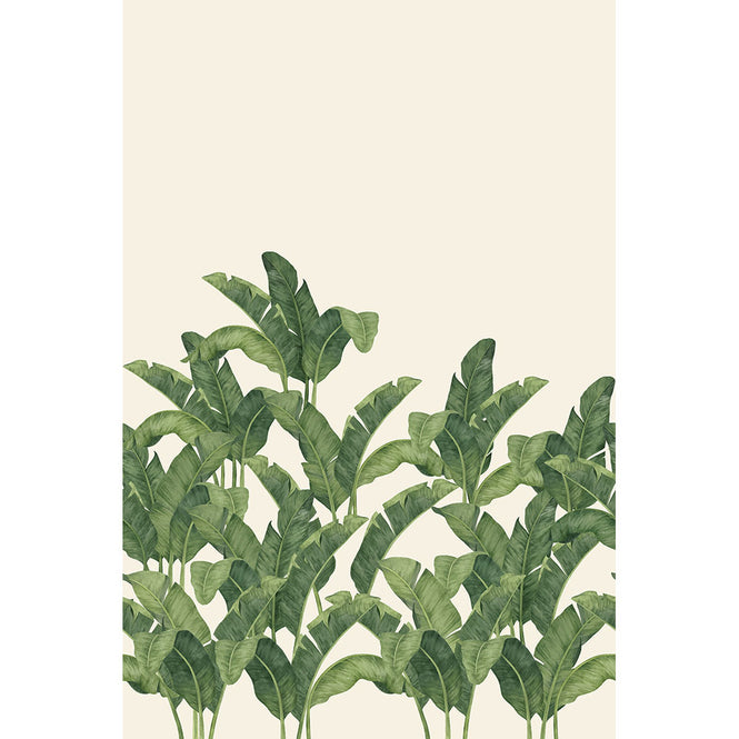 Tres Tintas / LES VANGARDES BANANELLA BA-03