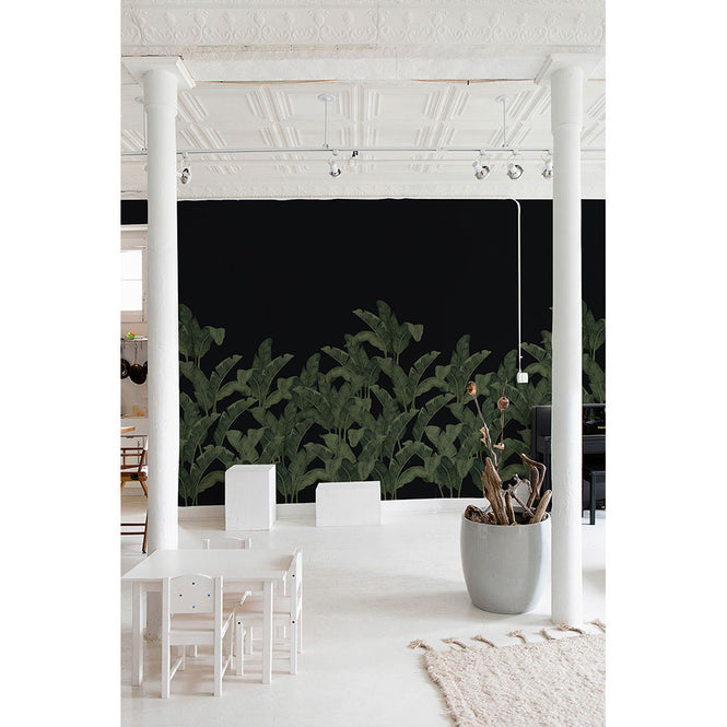 Tres Tintas / LES VANGARDES BANANELLA BA-04