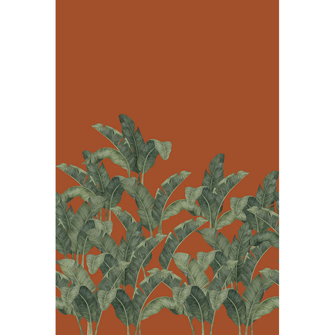 Tres Tintas / LES VANGARDES BANANELLA BA-05