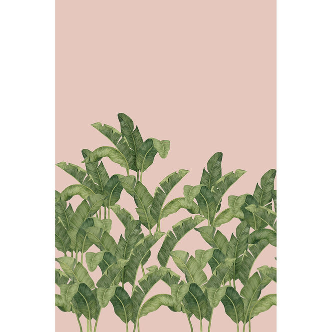 Tres Tintas / LES VANGARDES BANANELLA BA-06