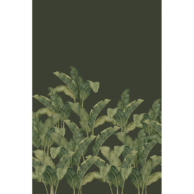 Tres Tintas / LES VANGARDES BANANELLA BA-07