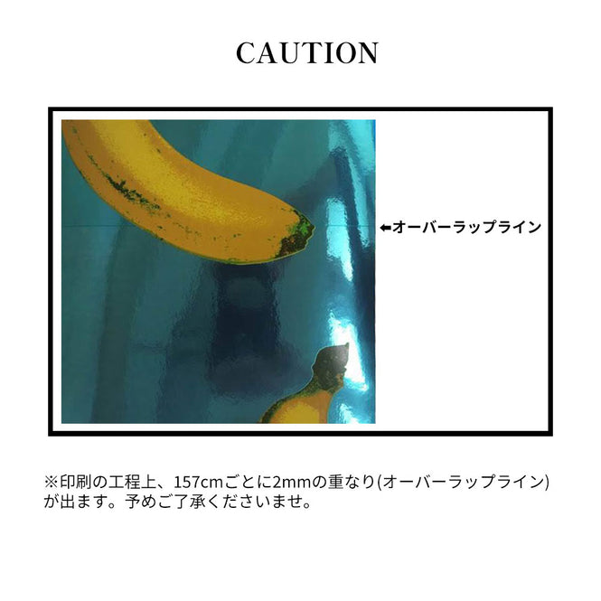 輸入壁紙 Andy Warhol / Small Flowers / Full Spectrum