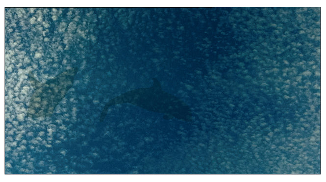 Wall&deco / Big brand 12 Limbo azul / BBLA1201