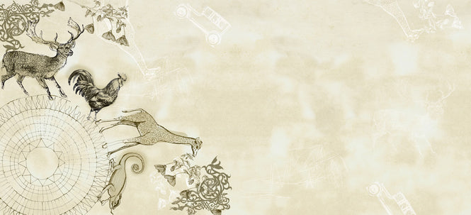 Wall&deco / Big brand 13 Missterre / BBMT1301