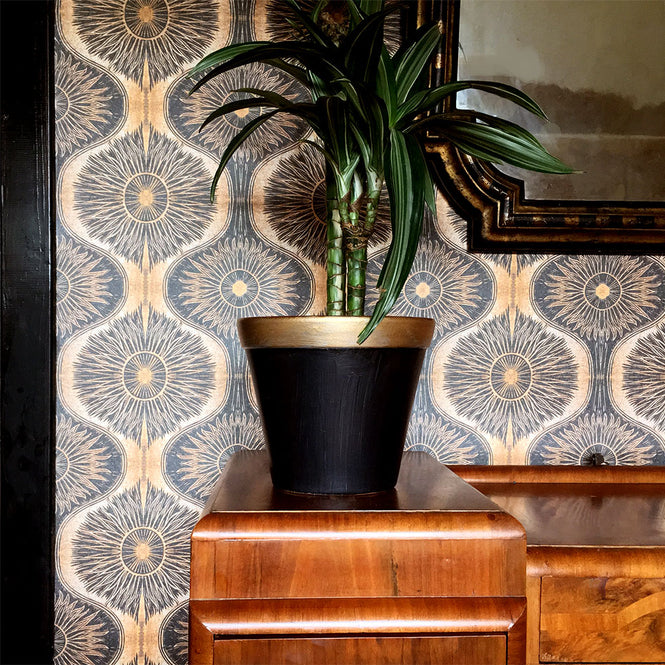 Anna Hayman / アナ・ヘイマン BIBANA