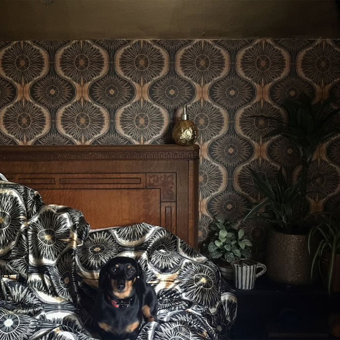 Anna Hayman / アナ・ヘイマン BIBANA