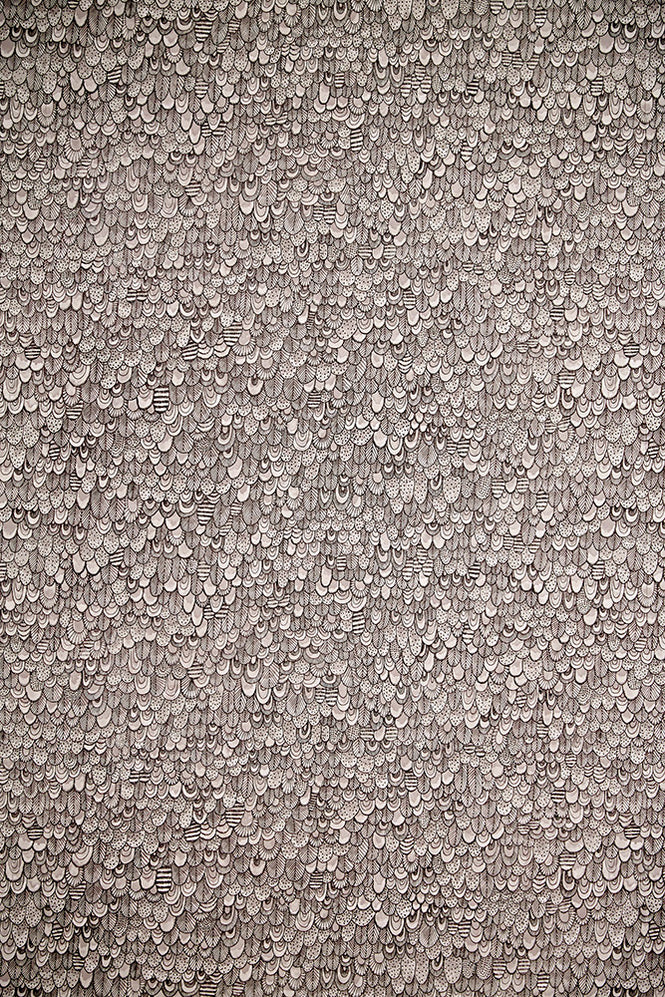 Abigail Edwards / Bird Shadow