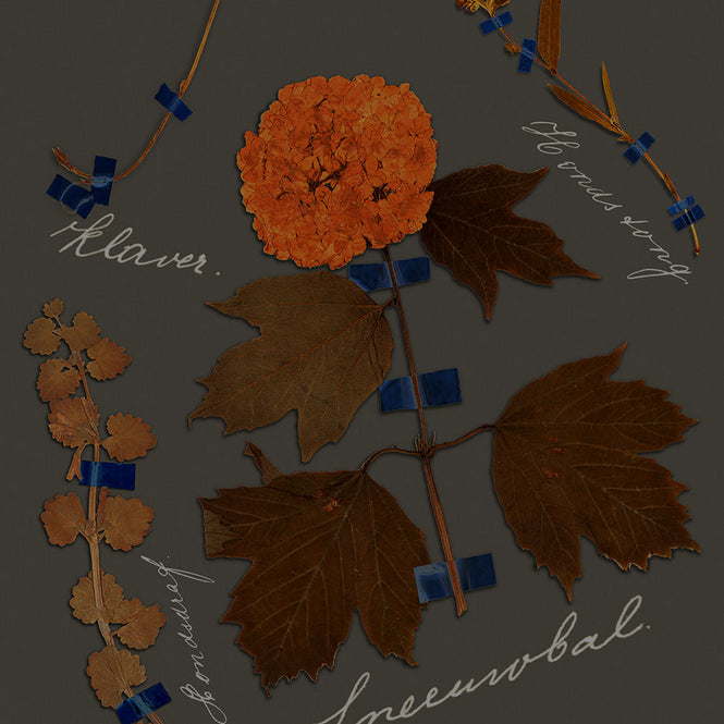 Studio DeSimoneWayland / VOLUME1 / BOTANICALS GRAPHITE VO1-BO-GR【MATTE COATED】【4ロールセット】