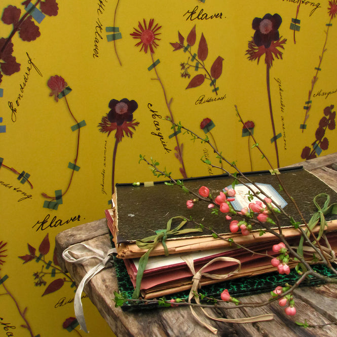 Studio DeSimoneWayland / VOLUME1 / BOTANICALS GOLD YELLOW VO1-BO-GY【MATTE COATED】【4ロールセット】