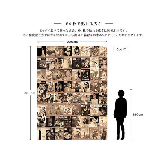 【限定数】1 Wall / Creative Collage VINTAGE MAPS CREATIVE COLLAGE