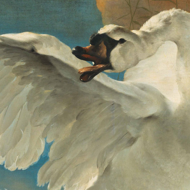 輸入壁紙 KEK Amsterdam / FLORA & FAUNA / WALLPAPER CIRCLES THREATENED SWANN CK-004