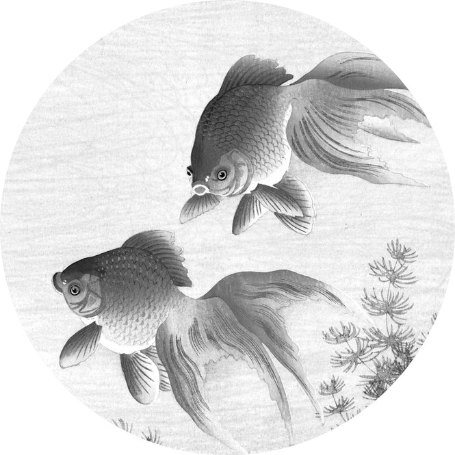 輸入壁紙 KEK Amsterdam / FLORA & FAUNA / WALLPAPER CIRCLES GOLDFISH CK-005