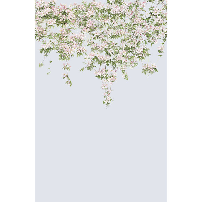 Sian Zeng / Clematis Mural Wallpaper / Dusty Blue ClemB 【3パネル1セット】