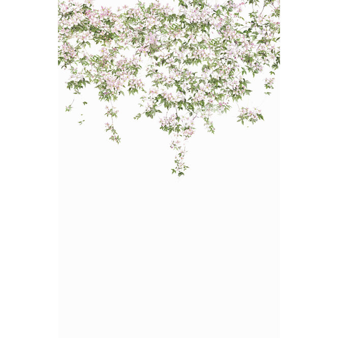 Sian Zeng / Clematis Mural Wallpaper / White ClemW 【3パネル1セット】