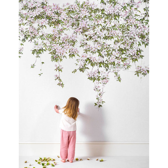 Sian Zeng / Clematis Mural Wallpaper / White ClemW 【3パネル1セット】