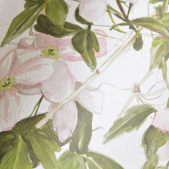 Sian Zeng / Clematis Mural Wallpaper / White ClemW 【3パネル1セット】