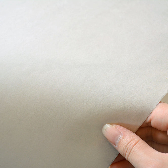 NLXL MONOCHROME WALLPAPER LIGHT POLISHED CONCRETE WALLPAPER BY PIET BOON CON-08