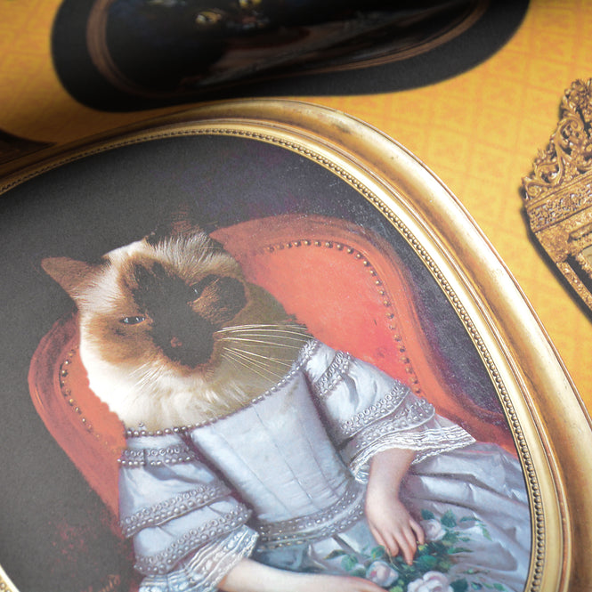 Graduate Collection / A CAVALCADE OF CATS MUSTARD / CC1CATMUSTARD