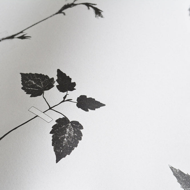 Studio DeSimoneWayland / VOLUME1 / DUTCH GARDEN WHITE VO1-DG-WH【MATTE COATED】【4ロールセット】