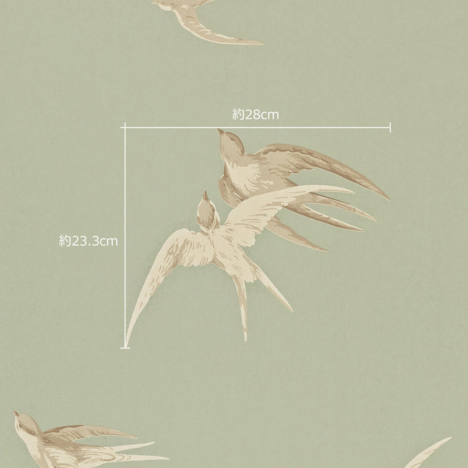 ツバメのサイズ参照画像