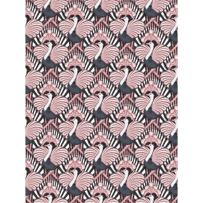 DIVINE SAVAGES / Zsa Zsa 'Candy' / DVS009-ZSA-WR