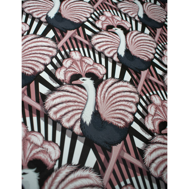 DIVINE SAVAGES / Zsa Zsa 'Candy' / DVS009-ZSA-WR