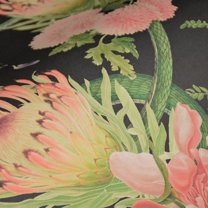 DIVINE SAVAGES / Forbidden Bloom 'Black' / DVS030-FBL-BLK-WR