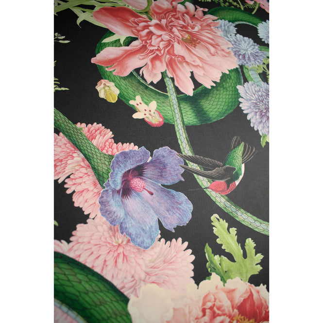 DIVINE SAVAGES / Forbidden Bloom 'Black' / DVS030-FBL-BLK-WR